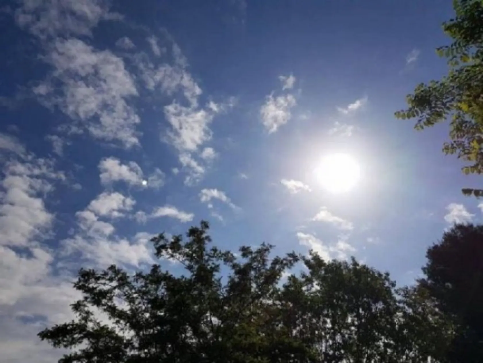 Konya'da sağanak alarmı verildi: İşte 5 günlük hava durumu verileri!