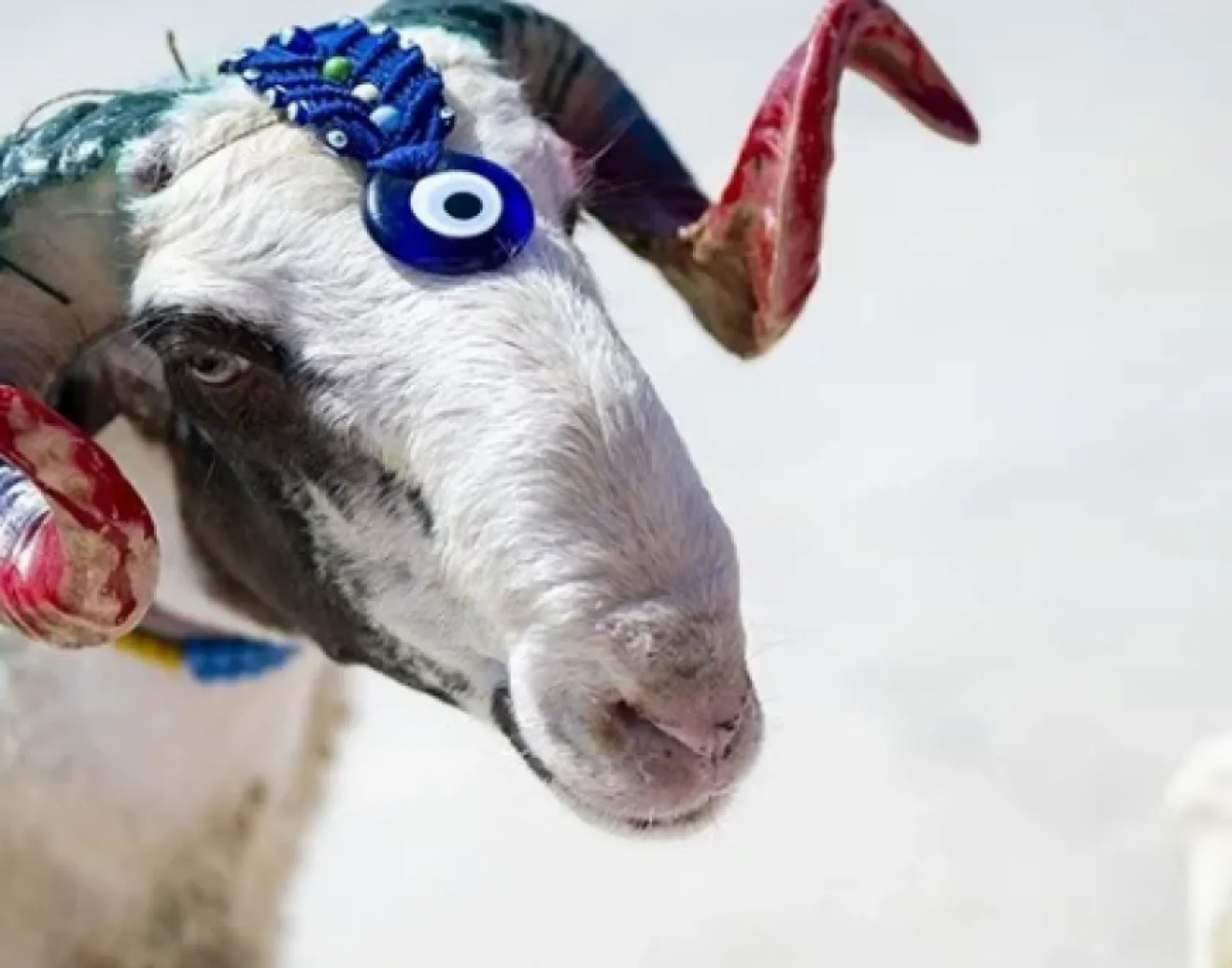 Kurban Bayramı tatilinin kaç gün olacağı netleşti!
