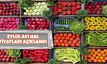 Konya için güncel hal fiyatları açıklandı!