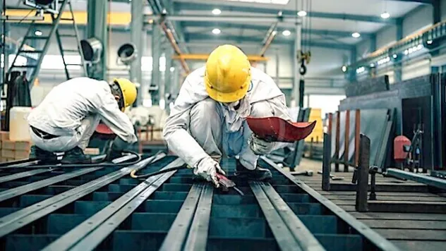 Aralık 2023 İşgücü Raporu: İşsizlikte Hafif Azalma, Genç Nüfusta Belirgin Düşüş!