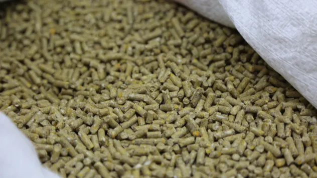 Konya Şeker Yem'den: Enerjim+