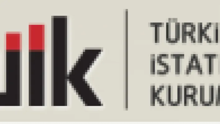 Türkiye'nin Ocak Ayı Dış Ticaret İstatistikleri Açıklandı: İhracat Arttı, İthalat Azaldı